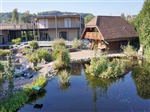 Roggwil Anlage MB (99)